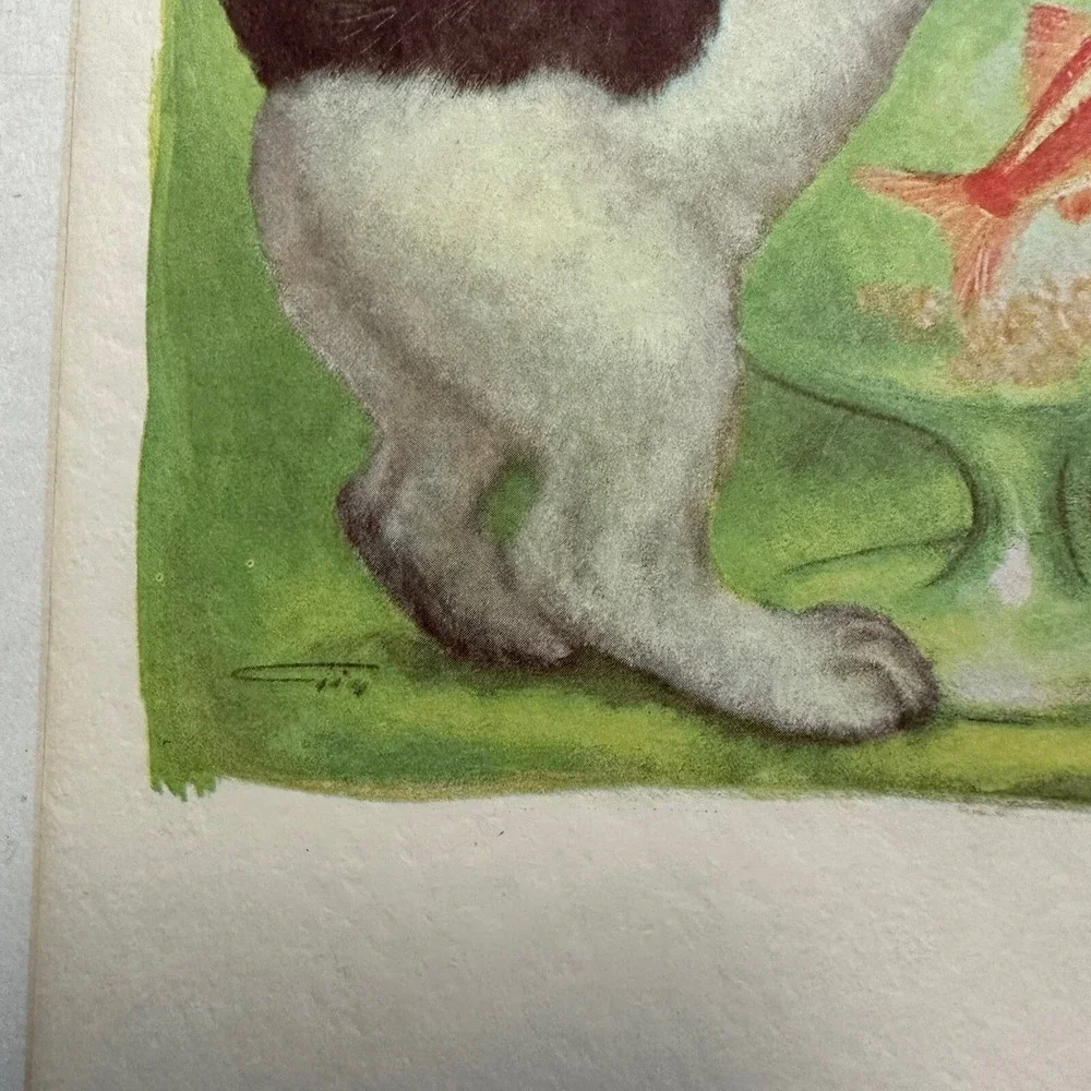 Vtg 60's Royal Aristicat GIA 